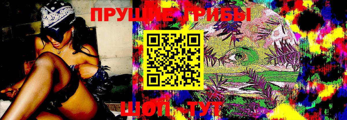 Галлюциногенные грибы Psilocybine cubensis  Вход с VPN  купить  сайты  Галлюциногенные грибы Psilocybe  Тула 